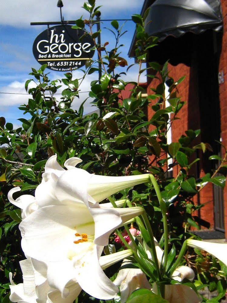 Hi George B&B Launceston Kültér fotó